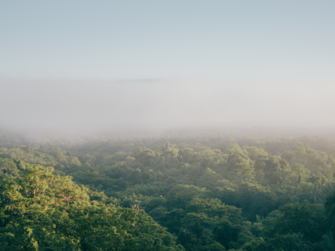 Sustainability solutions