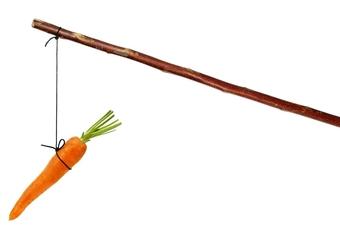 carrot 